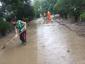 暴雨后的弋阳 从清淤到烧结砖的绿色新生